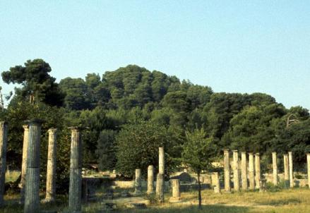 亚热带常绿硬叶林景观