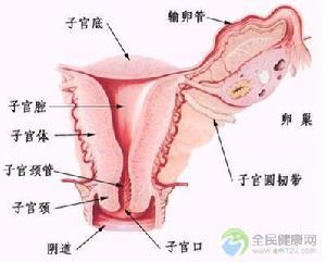生殖器滴虫病