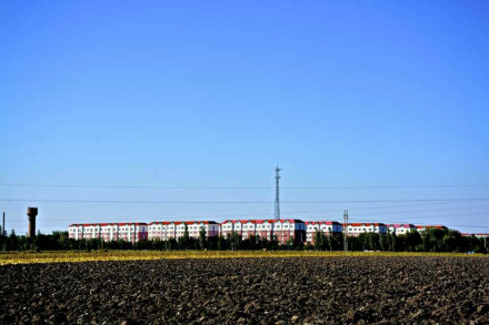 场部南部的田地和场部远景