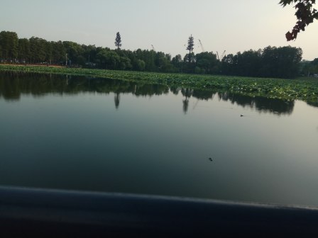 东湖湖面