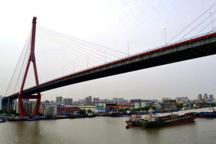 杨浦大桥图