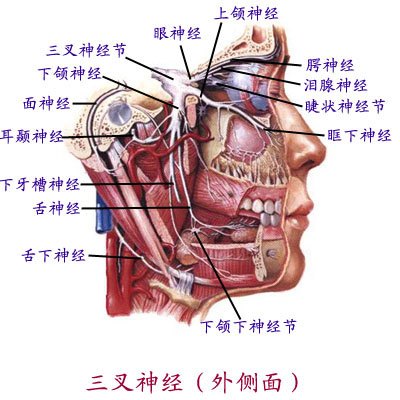 牙疼、叉疼可以采取异病同治