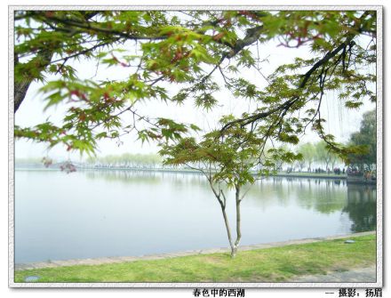 湖滨晴雨