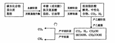 沼气发酵四类群理论