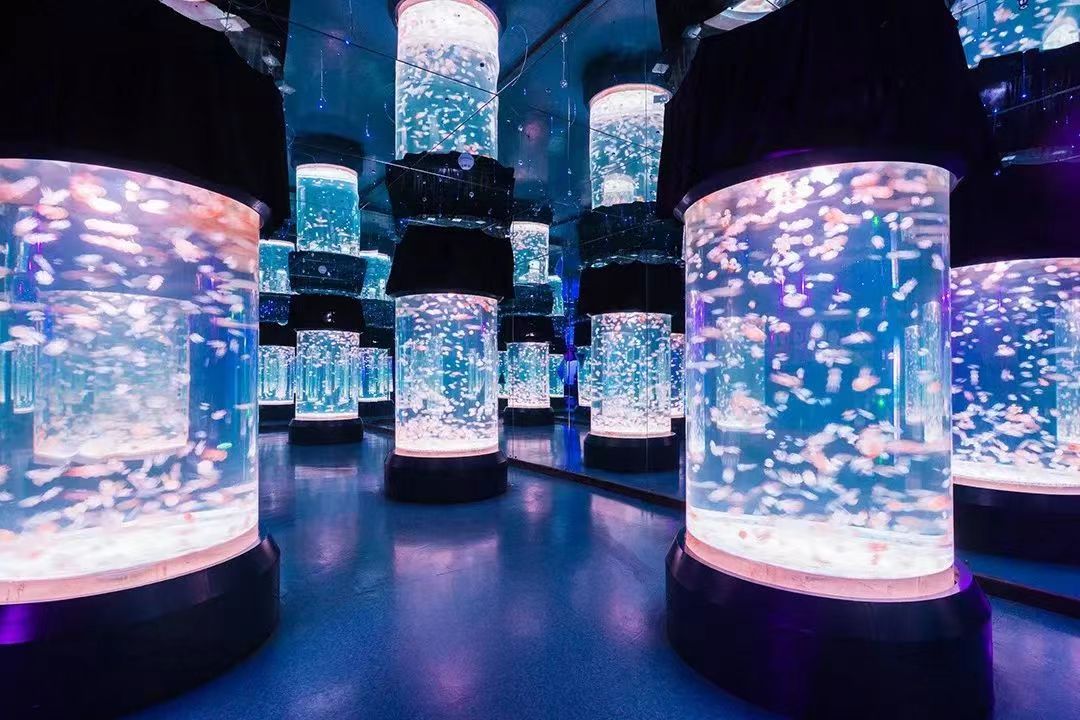 水母万花筒