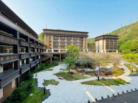 宝安纯中医治疗医院