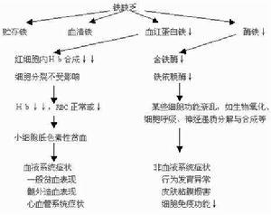 缺铁性贫血