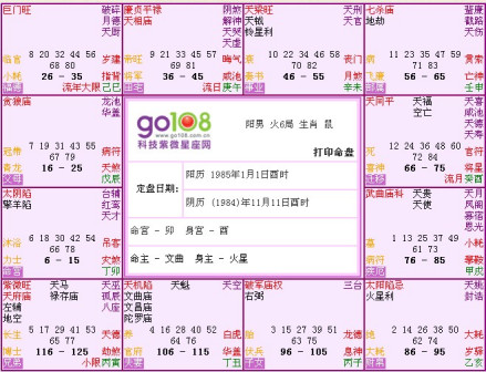 太阴星命盘