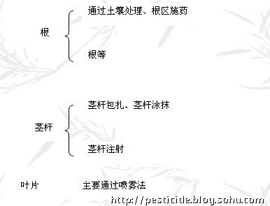 内吸剂主要过程