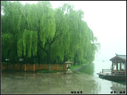 柳浪闻莺