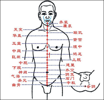 任脉