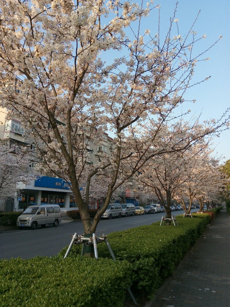 友谊路街道风景