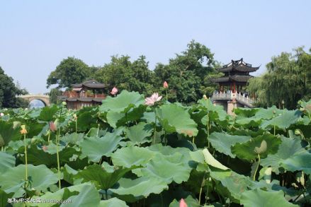 阮墩环碧