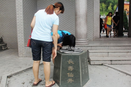 长寿仙井