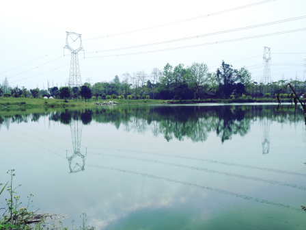 西北村湿地