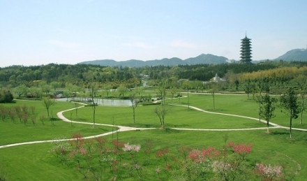 龙背山森林公园
