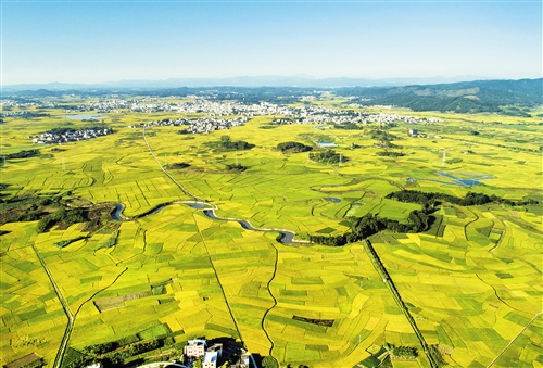 陶圩镇