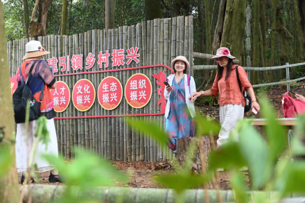 乡村振兴战略