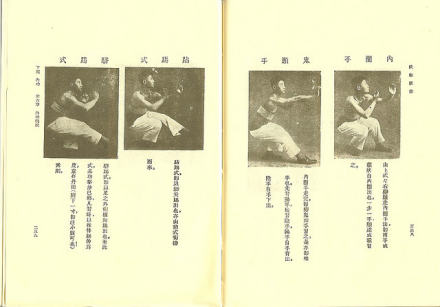 武术汇宗