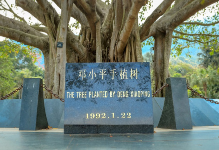 邓小平手植树