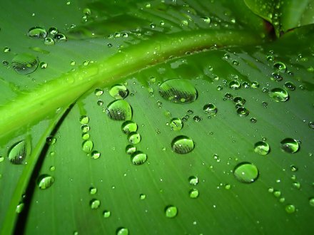 癸水非雨露之谓，乃纯阴之水。