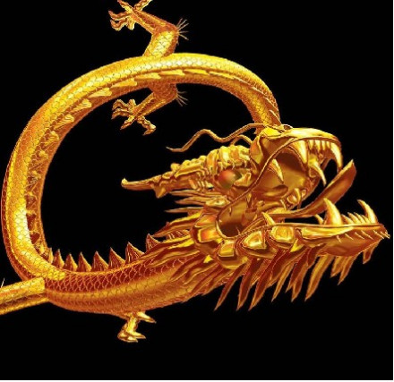 天罡金龙