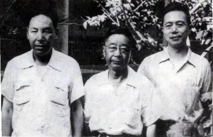 赵树理、老舍与杨朔
