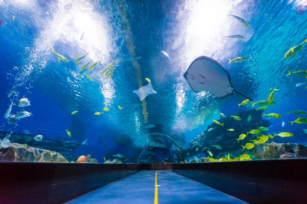海底隧道