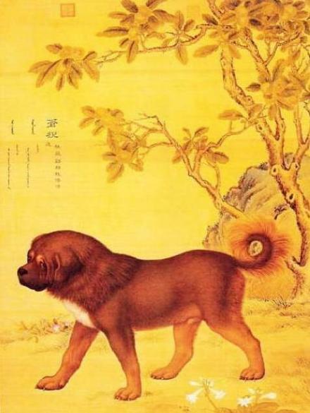 《苍猊》