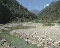 鹿场风光
