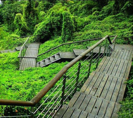金水湾度假村外景图
