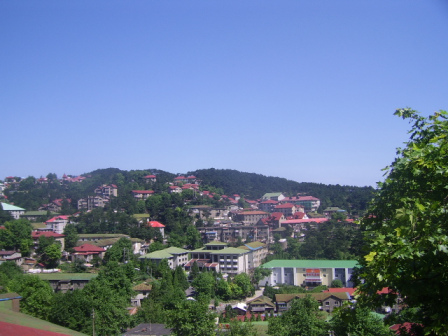 牯岭街依山势而建的建筑群