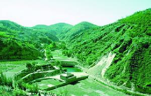 三北防护林