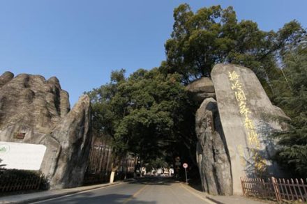 梅岭