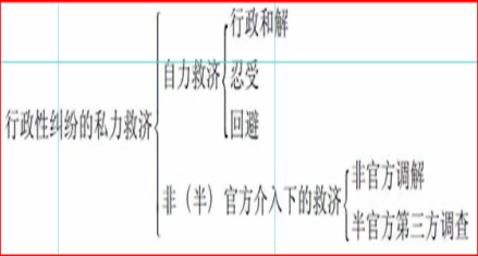 行政性纠纷的私力救济 