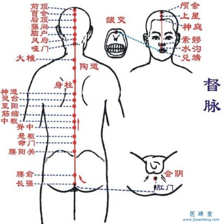 督脉