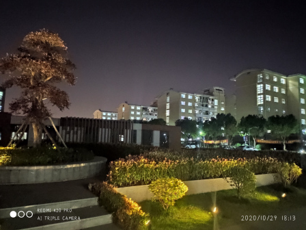 校园夜景