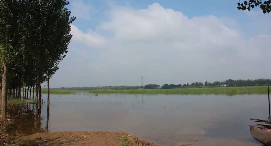 赵王新河