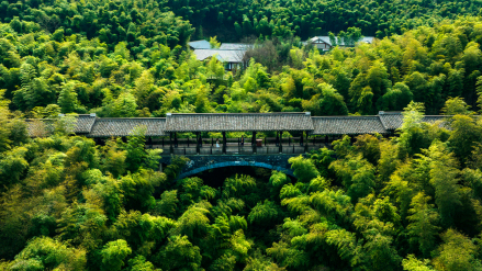 黄金桥