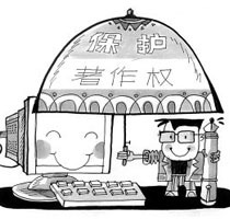 知识产权保护插图