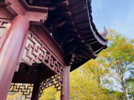 校园风景