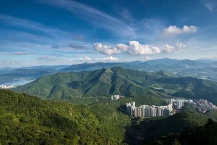 梧桐山