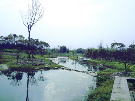 西北村湿地