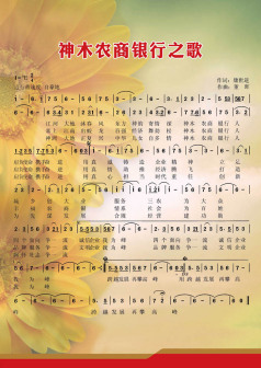 相关照片