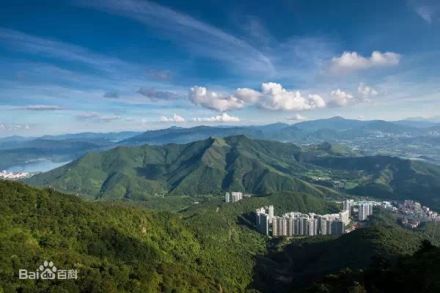 梧桐山