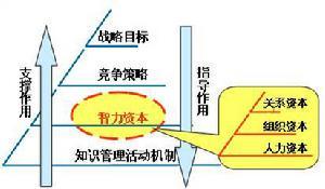 智力资本