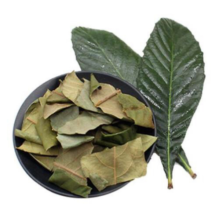 桑叶枇杷茶