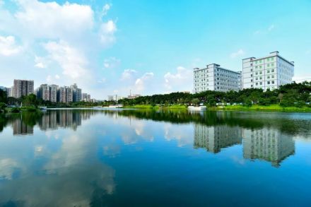 新桥街道风景
