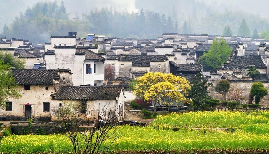 西递村