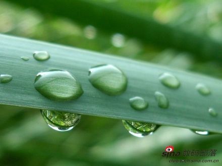 癸水至弱，达于天津。得龙而运，功化斯神。